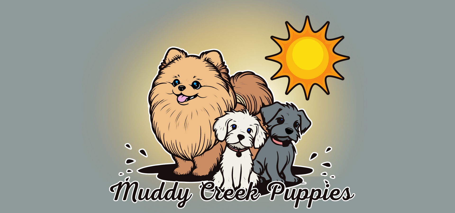 Muddy Creek Puppies of Ohio Pomeranian puppies, Bernadoodle puppies, Bernese Mountain Dog, Mini Goldendoodle puppies, Pomeranian puppies and Cavapoo puppies for sale near me (1)
